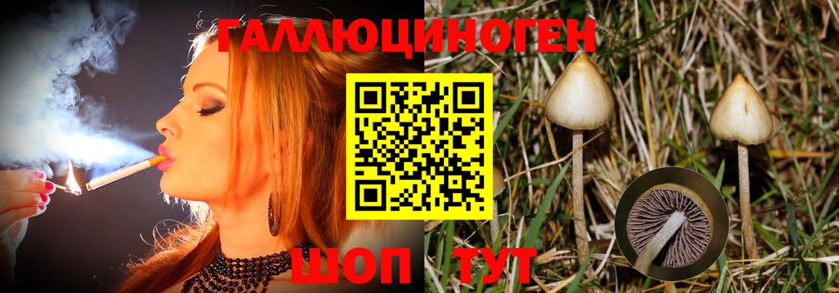 Реж  Псилоцибиновые грибы мухоморы  Вход с VPN  Галлюциногенные грибы прущие грибы 